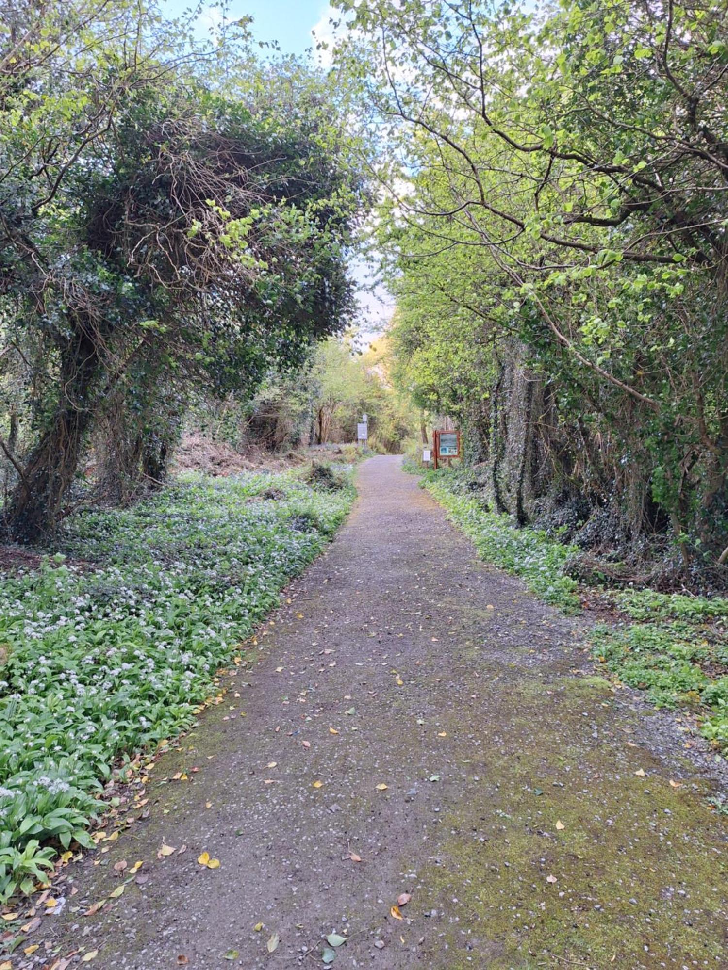 Ard Aoibhinn Roscommon Lecarrow Kültér fotó