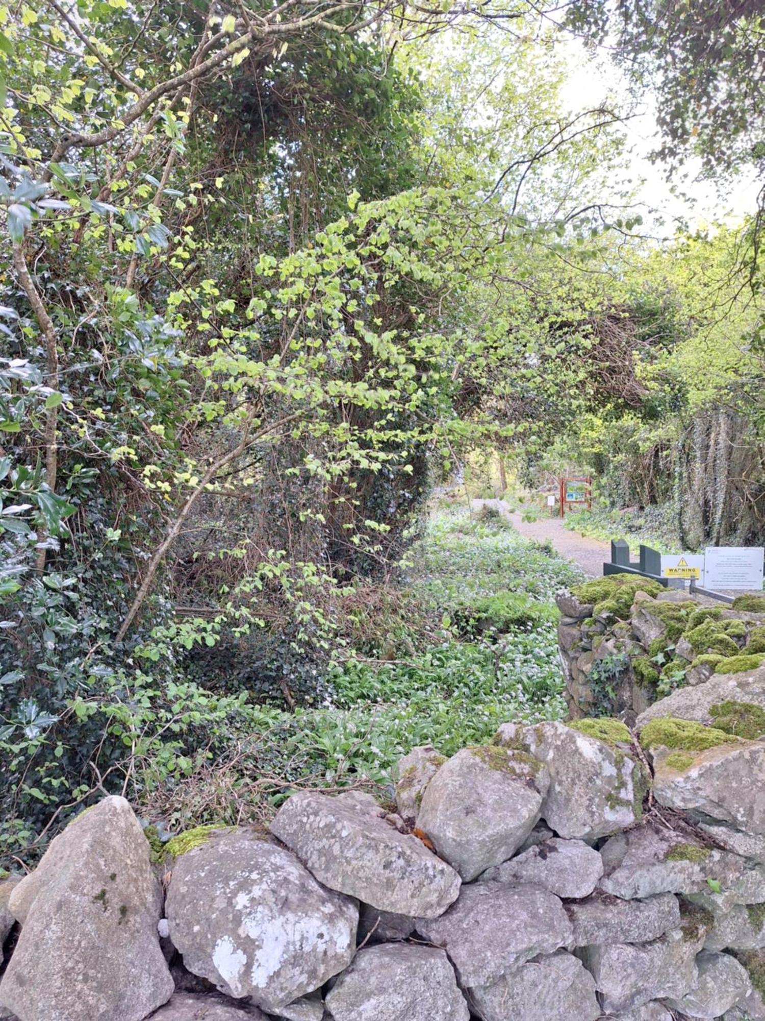 Ard Aoibhinn Roscommon Lecarrow Kültér fotó